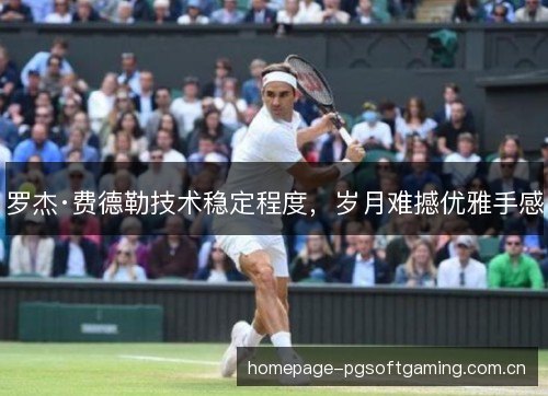 罗杰·费德勒技术稳定程度,岁月难撼优雅手感 罗杰·费德勒技术稳定程度,岁月难撼优雅手感